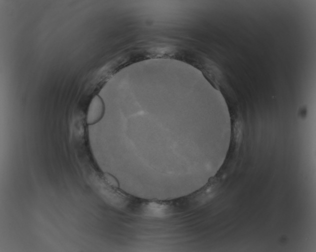 X0000115700570200912241525