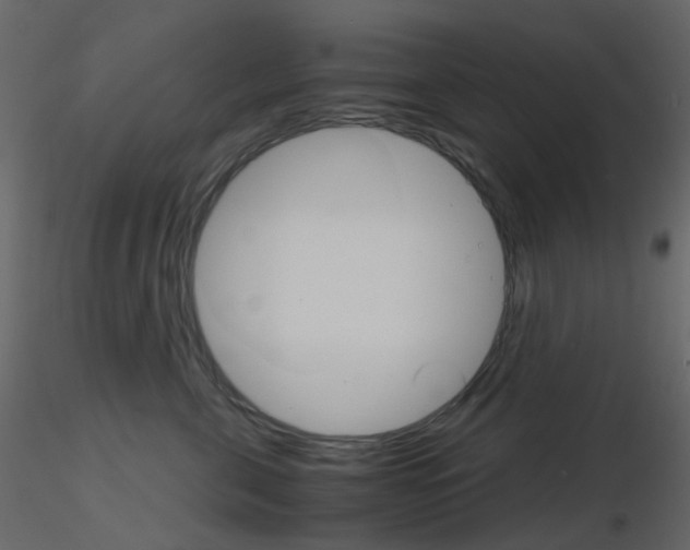 X0000115700571200912241525