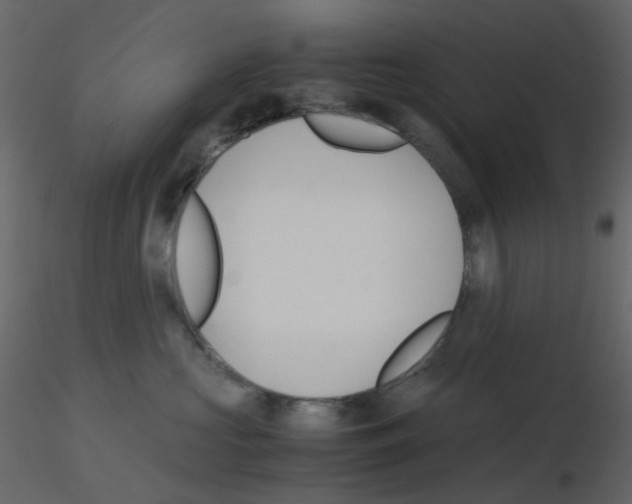 X0000115700573200912241525