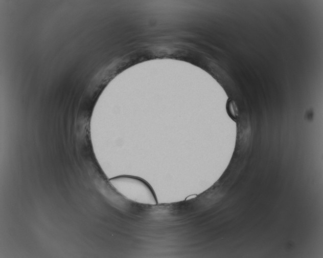 X0000115700574200912241525