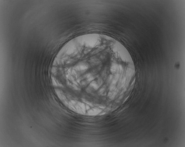 X0000115700575200912241525