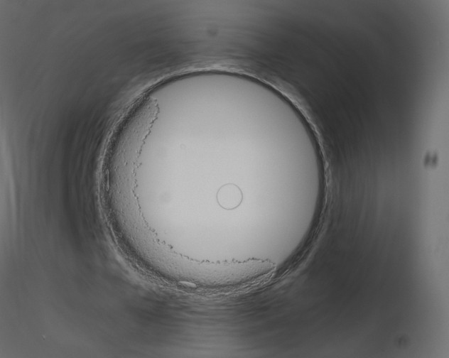 X0000115700577200912241524