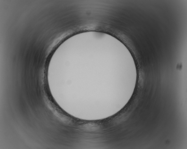 X0000115700578200912241524