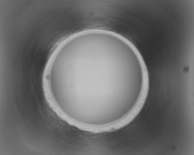 X0000115700579200912241524