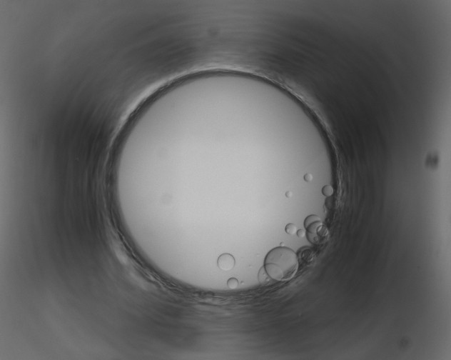 X0000115700580200912241524