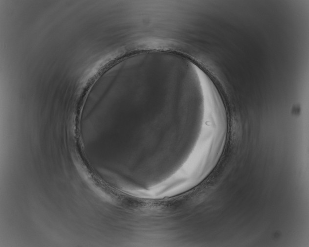 X0000115700581200912241524