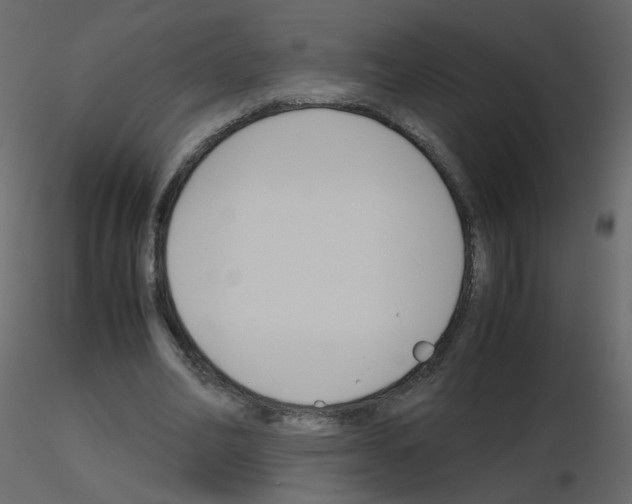 X0000115700582200912241524