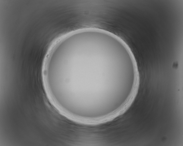 X0000115700583200912241524