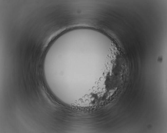 X0000115700588200912241524