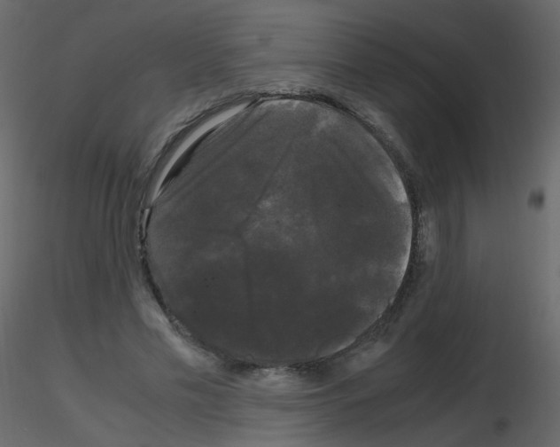 X0000115700589200912241524