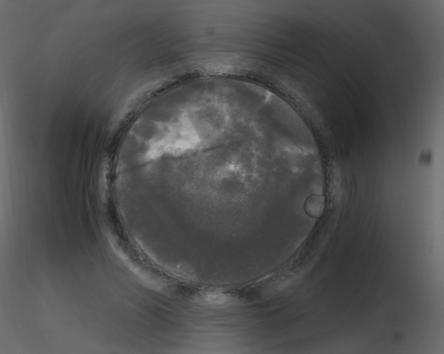 X0000115700590200912241524