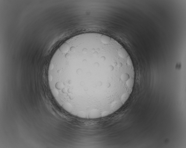 X0000115700591200912241524