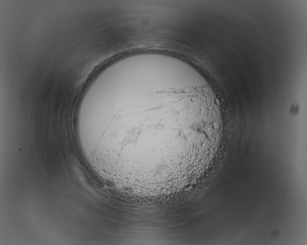 X0000115700592200912241524