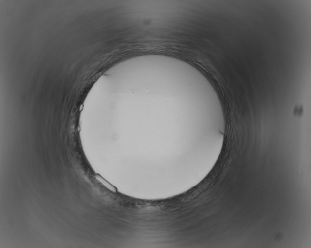 X0000115700593200912241524