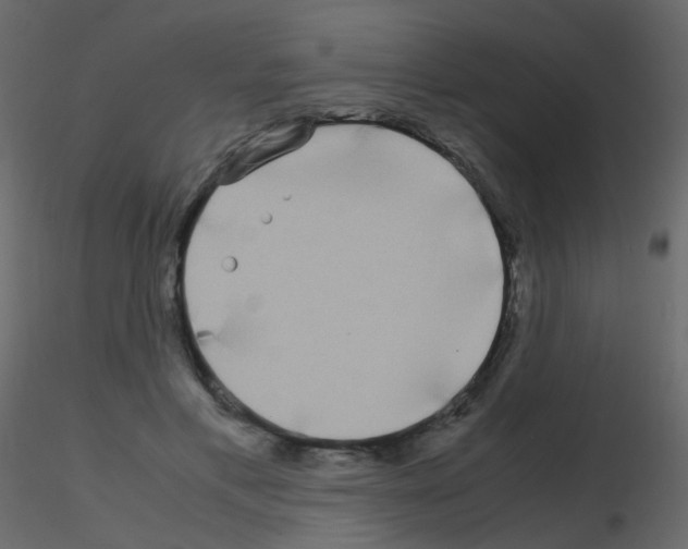 X0000115700597200912241524