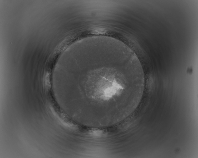 X0000115700598200912241524