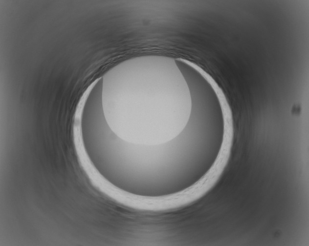 X0000115700599200912241524