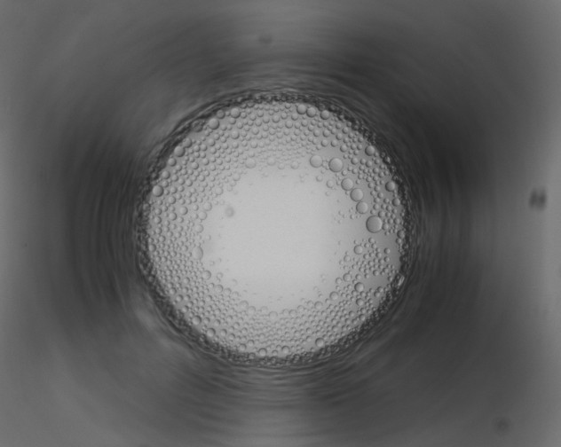 X0000115700600200912241524