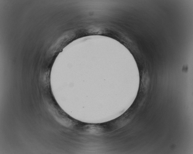 X0000115700601200912241524