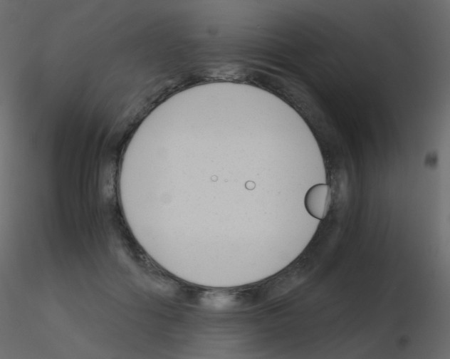 X0000115700602200912241524