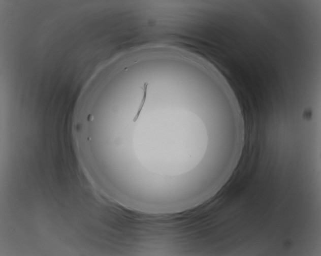 X0000115700603200912241524