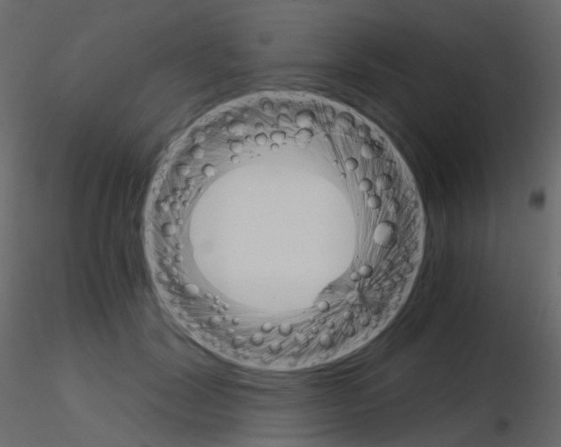 X0000115700604200912241524