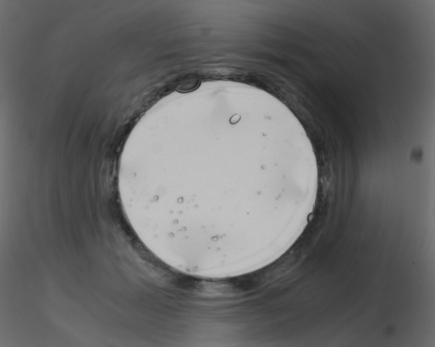 X0000115700605200912241524