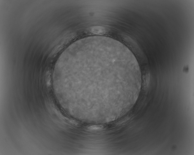 X0000115700606200912241524