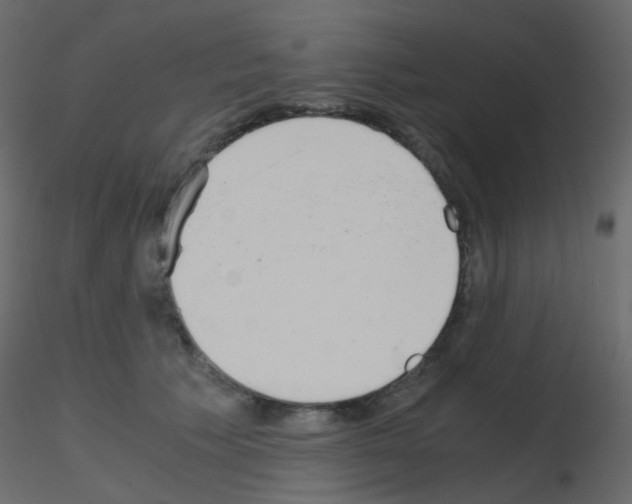 X0000115700609200912241524