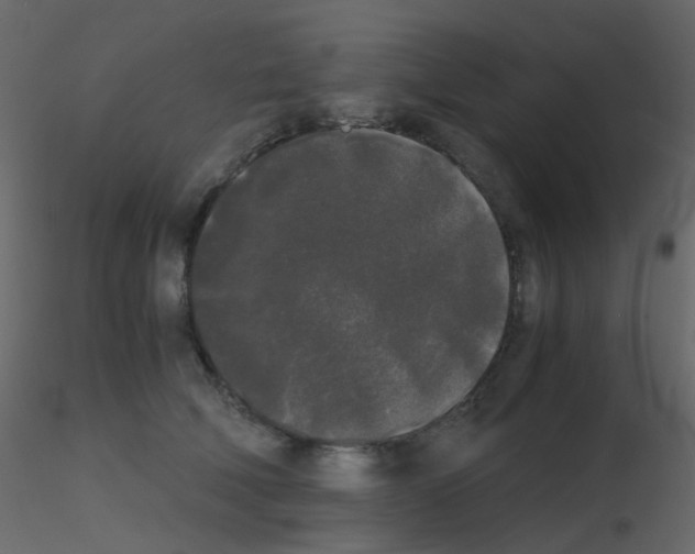 X0000115700610200912241524