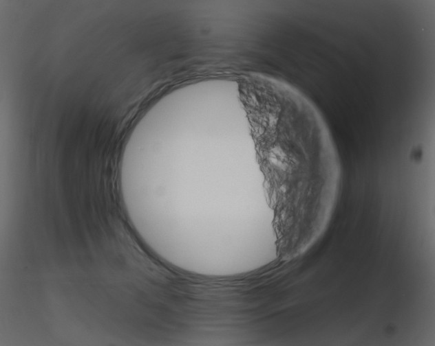 X0000115700612200912241524