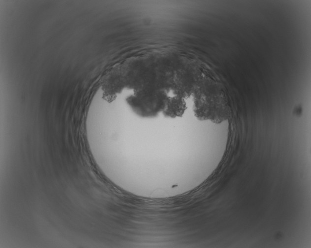 X0000115700613200912241524