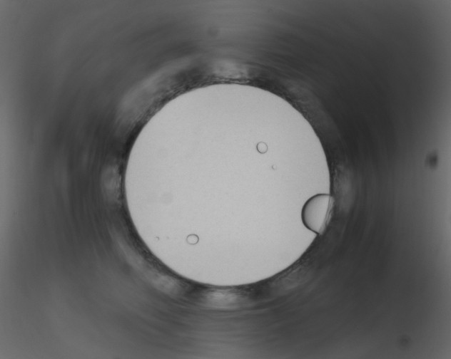 X0000115700614200912241524