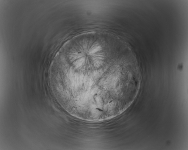 X0000115700615200912241524