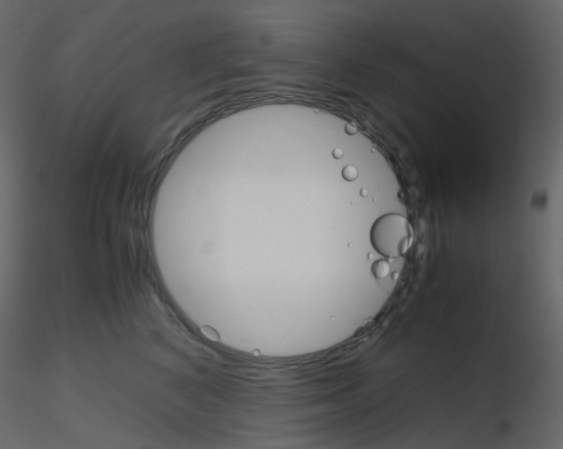 X0000115700616200912241524