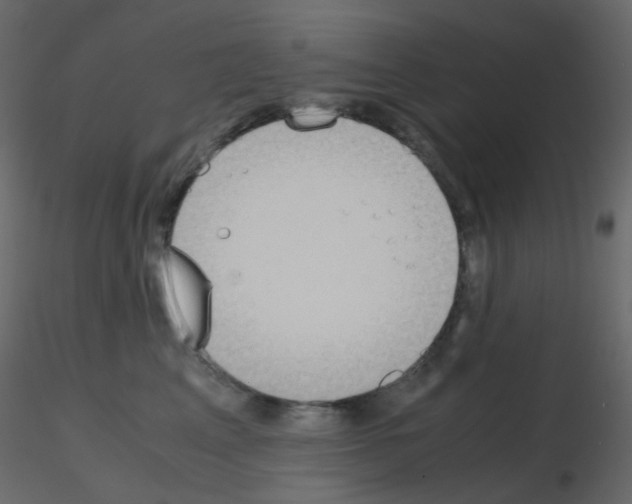 X0000115700617200912241524