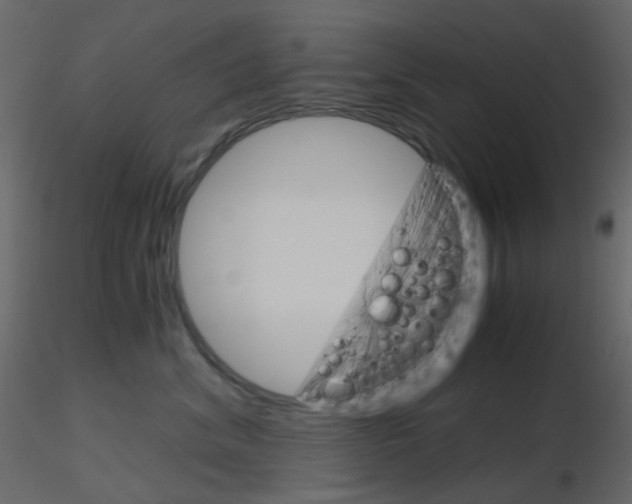 X0000115700620200912241524