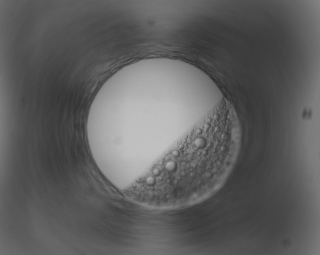 X0000115700624200912241524