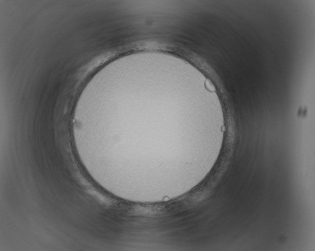 X0000115700625200912241523