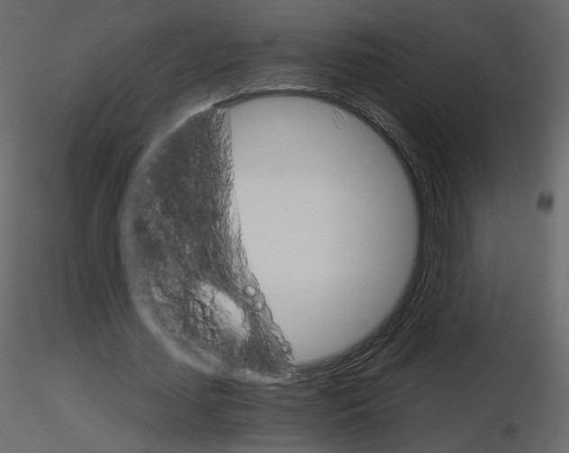 X0000115700627200912241523