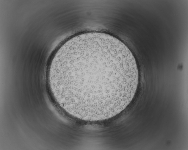 X0000115700630200912241523