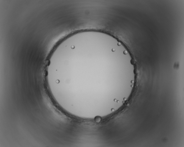 X0000115700632200912241523