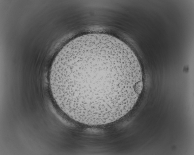 X0000115700633200912241523