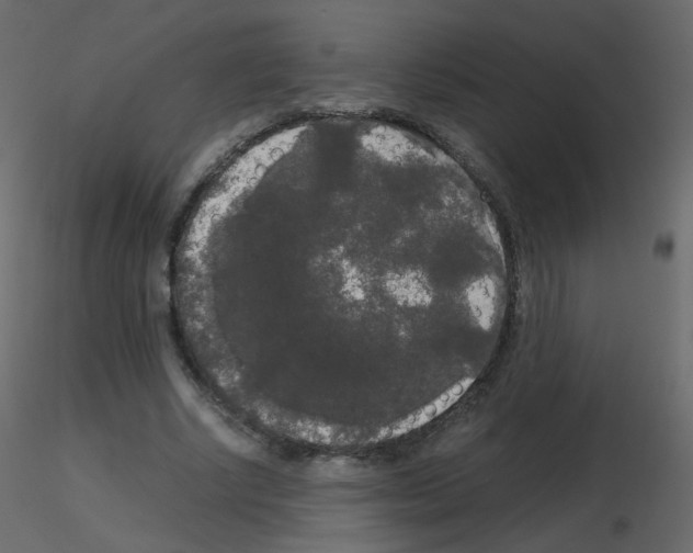 X0000115700634200912241523