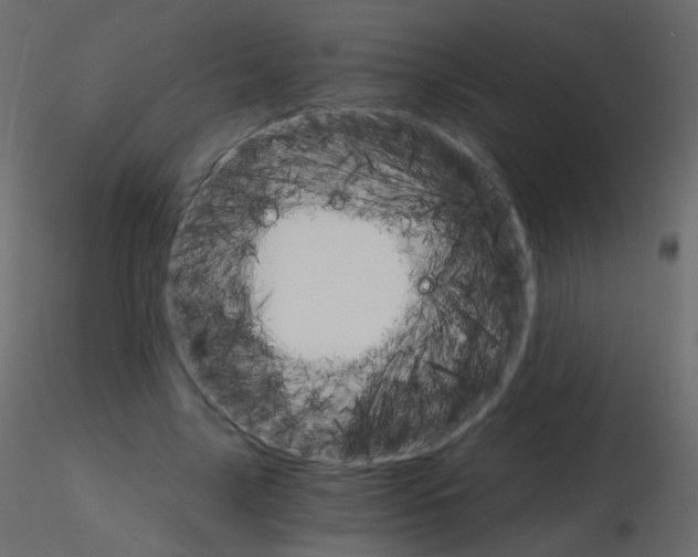 X0000115700635200912241523