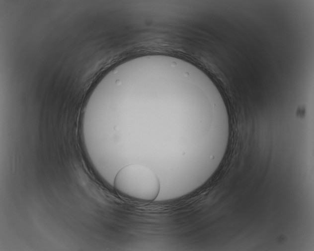 X0000115700639200912241523