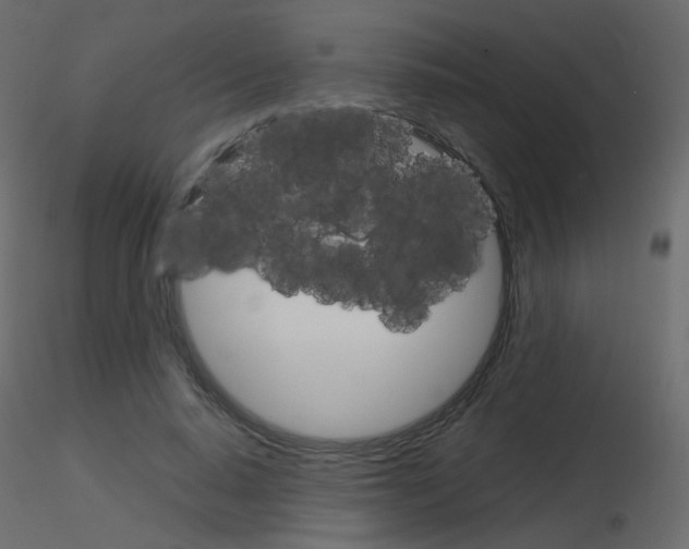 X0000115700640200912241523