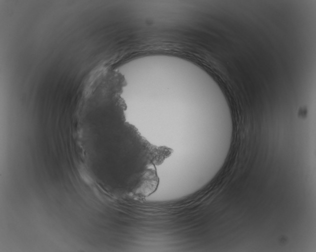 X0000115700644200912241523