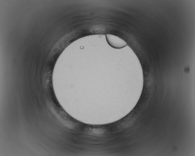 X0000115700645200912241523