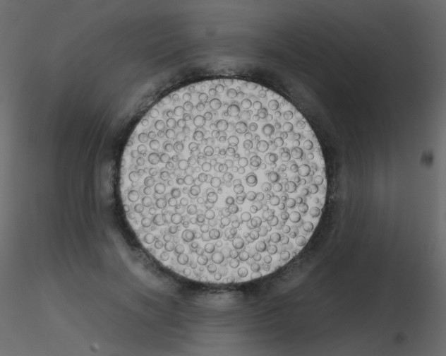 X0000115700646200912241523